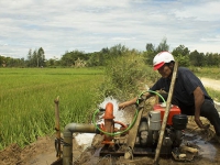 Hạn hán kéo dài, người dân miền Trung khoan giếng cứu lúa